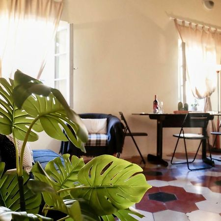 Santamarta35 Lägenhet Pisa Exteriör bild